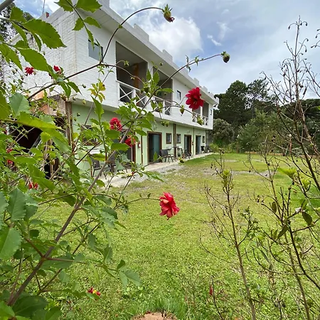 Cantinho de Campos-3